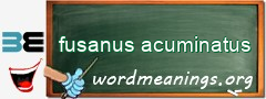 WordMeaning blackboard for fusanus acuminatus